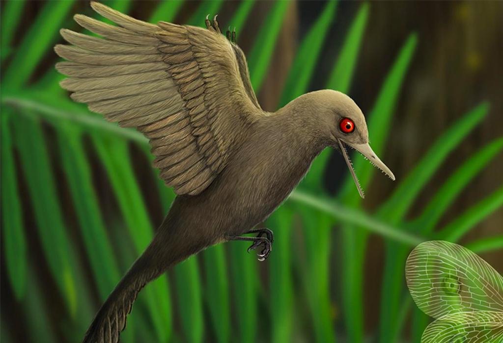 Oculudentavis khaungraae - najmanji dinosaur