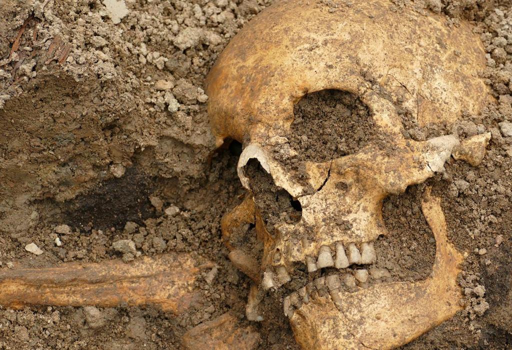 Drevni ostaci civilizacije El Argar