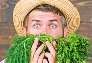 Povrće - Zdrava hrana - Logično