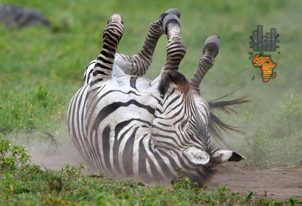 Afričko gospodarstvo