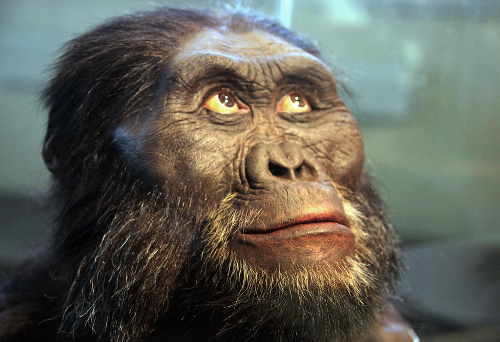 Lucy - vrsta istočnoafričke hominide