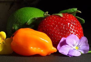 Vitamin C - Žute paprike, svježi kupus, drenjak