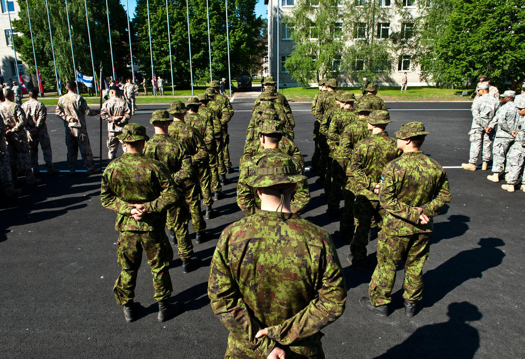 Finska vojska