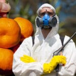 Pesticidi - Finska - Mandarine - Izrael