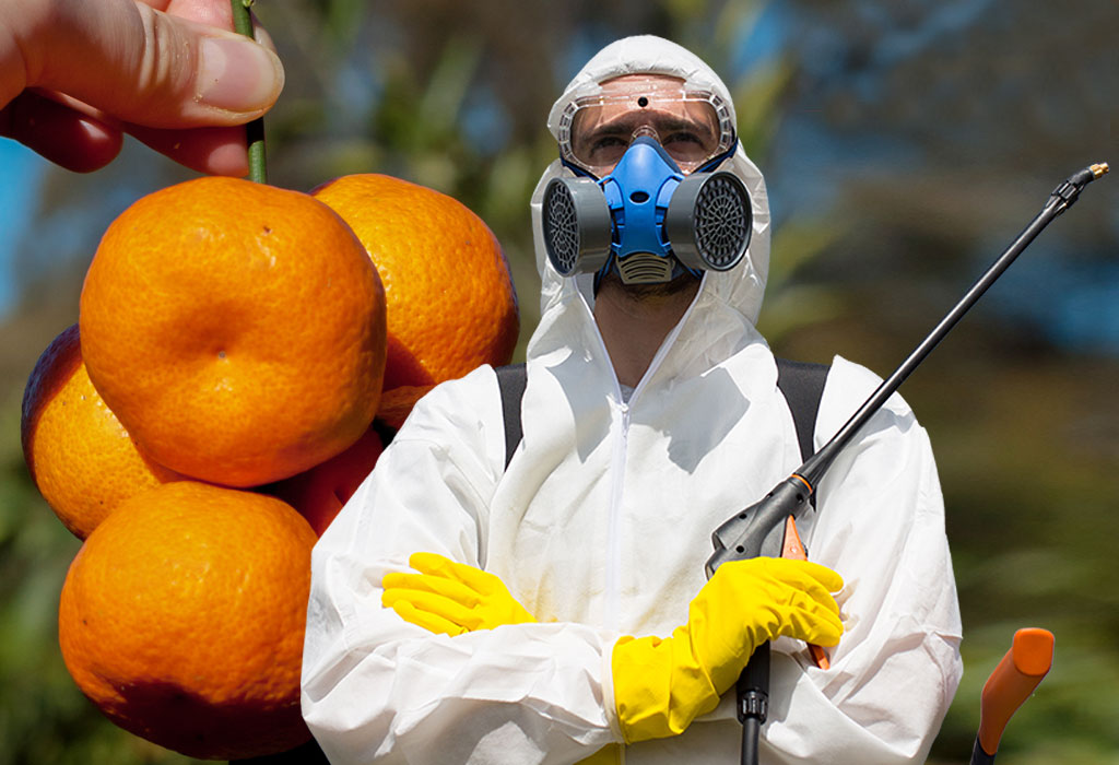 Pesticidi - Finska - Mandarine - Izrael
