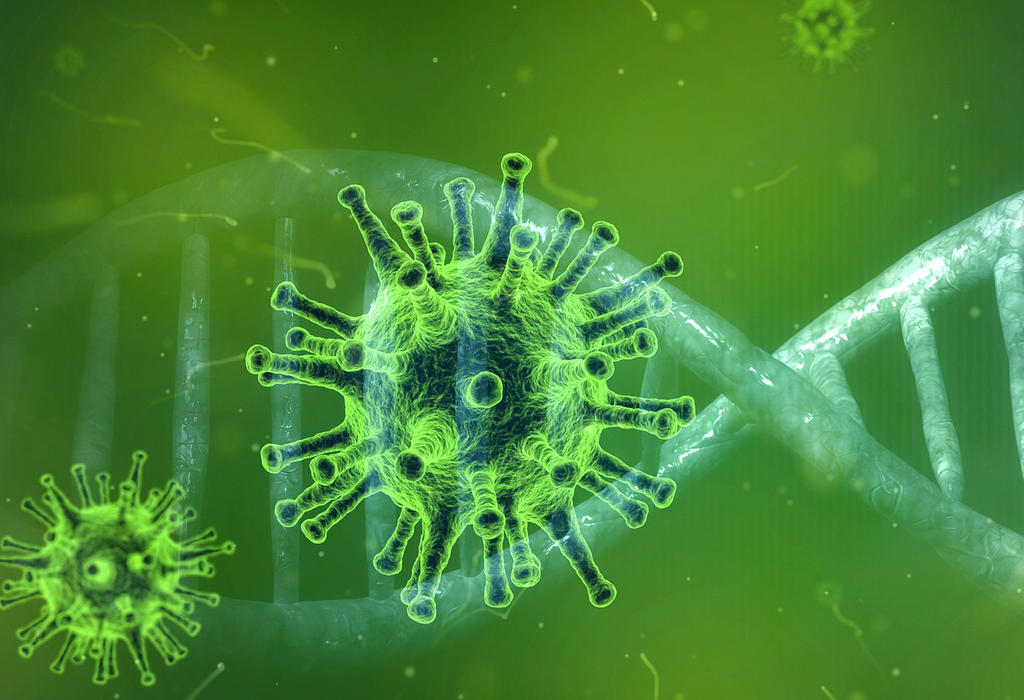 Koronavirus - Covid-19