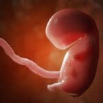 Planirano roditeljstvo - tkiva fetusa