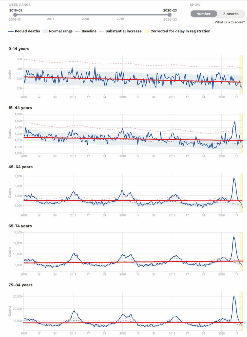 Statistika smrtnosti
