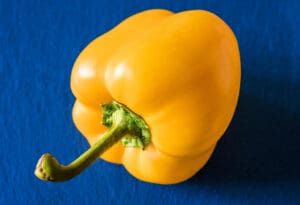 Žuta paprika