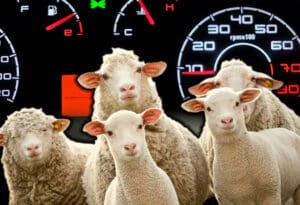 Porez na težinu automobila