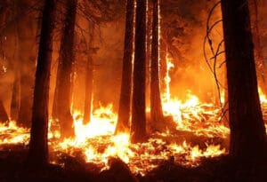 Oregon požari