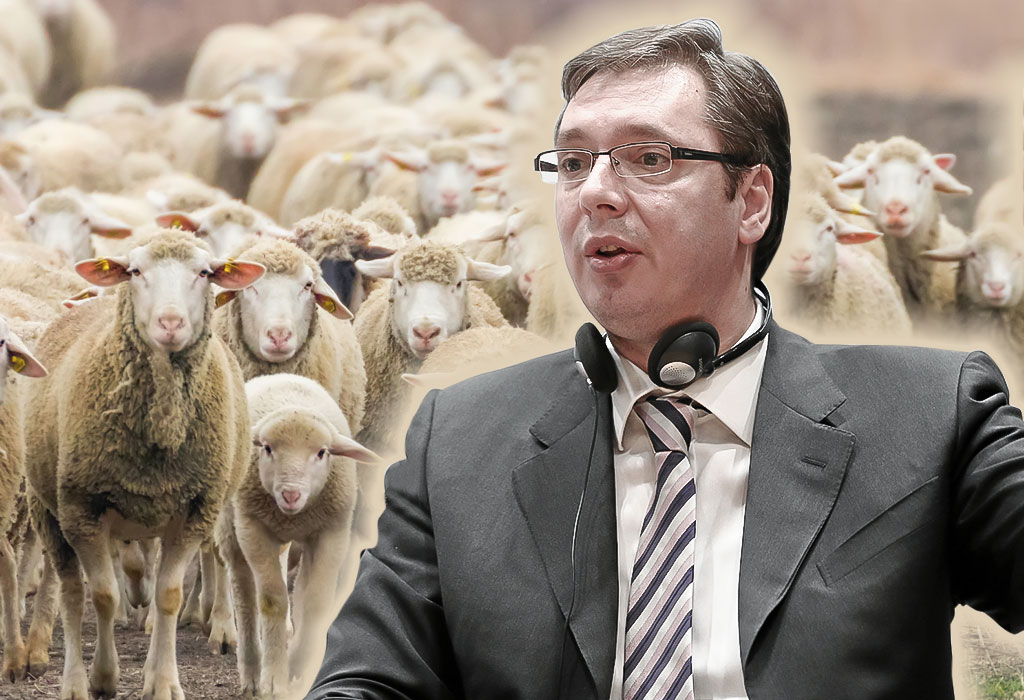 Vučić