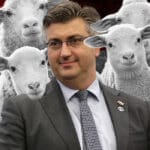 Plenković i ovčice