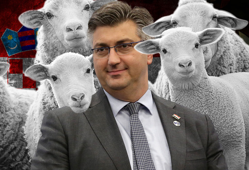 Plenković i ovčice