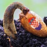 Hrvatska Zakon o sjemenju