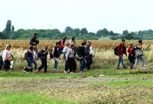 Migranti