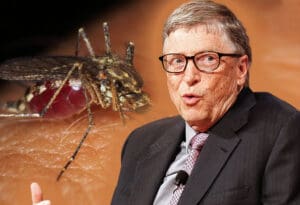 Bill Gates i komarci