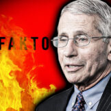 Faktograf Fauci