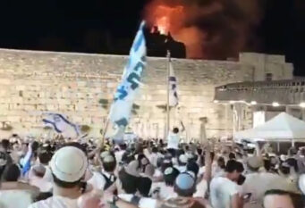 Ludilo u Palestini