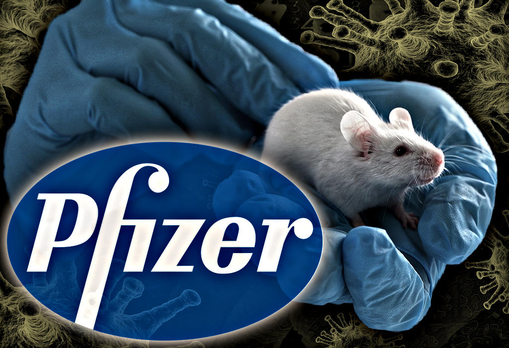 Pfizer afera