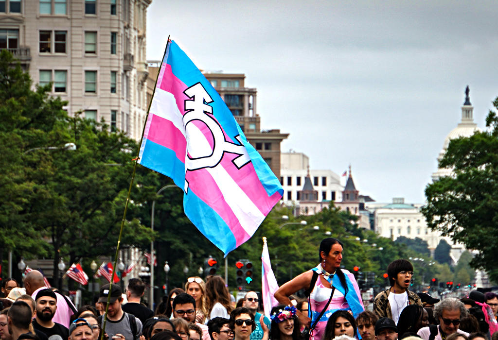 Transrodna prava