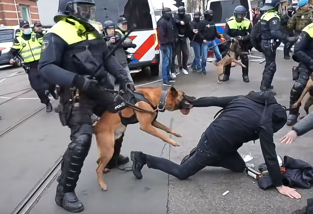 Nacizam u Nizozemskoj