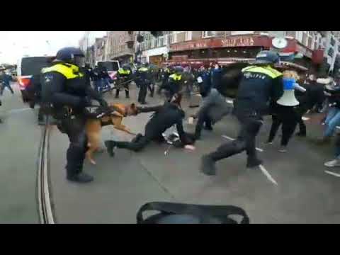 Veliki prosvjedi u Amsterdamu - Pogledajte što rade zvijeri u ljudskom  obliku - Najnovije Vijesti