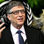 Bill Gates i SZO umjesanost u majmunske boginje
