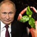 Putin - Pomoc zemljama sa djubrivom