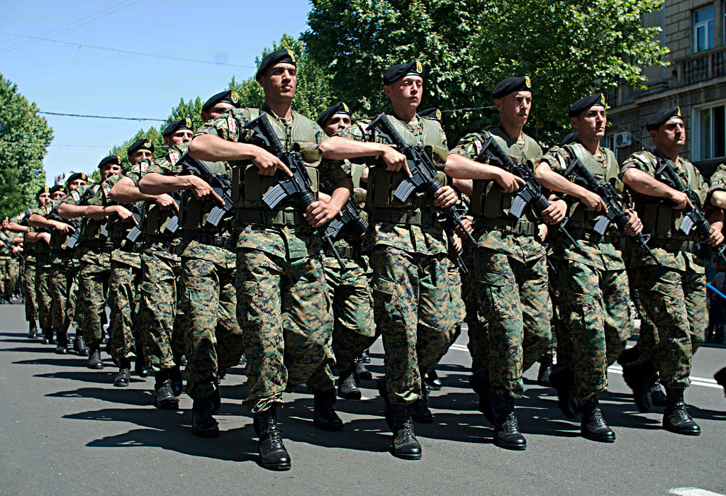 Gruzijska vojska