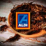 Aldi - Hrana od insekata