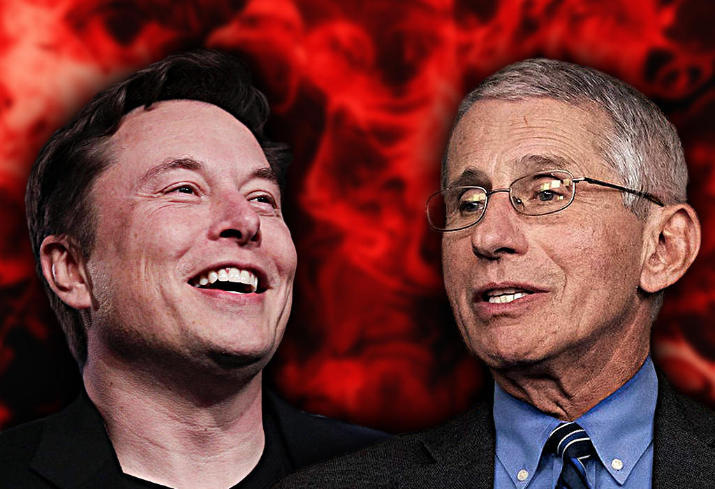 Musk i Fauci