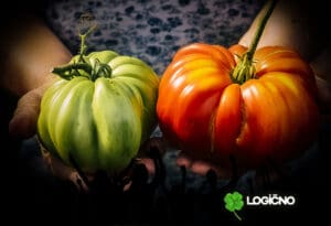 Prehrambena autonomija