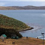 Falkland ostrvo