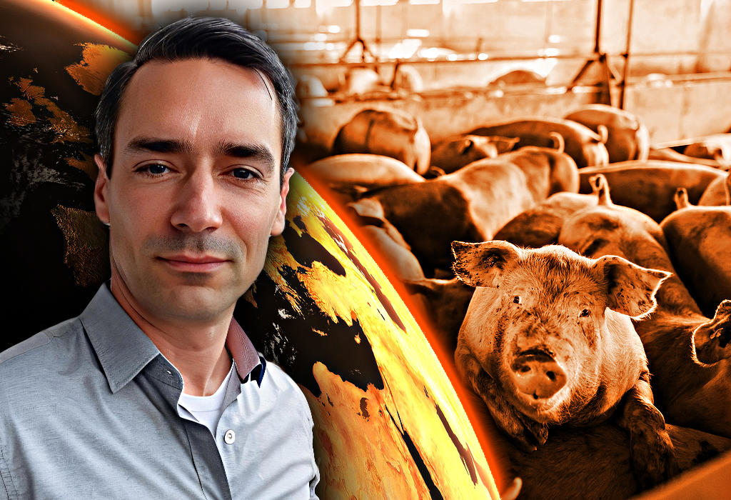 Danijel Klaic - Indigo Ratnik analiza