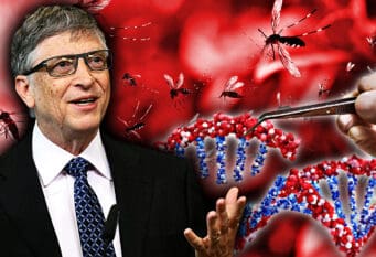 Gates - Genetski modifikovani komarci