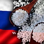 Rusija izvoz rize