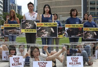 Južna Koreja zabranjuje jedenje pasa