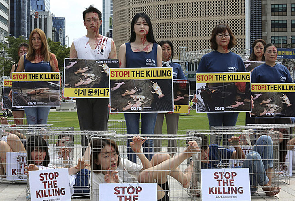 Južna Koreja zabranjuje jedenje pasa