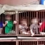 Zatvorena djeca u kavezu za kokoske