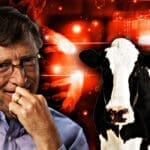 Bill Gates - Klimatske promjene i krave