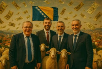 Političari i BiH ovce