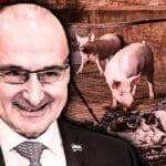 Grlić-Radman - Evo meni moje iljadarke