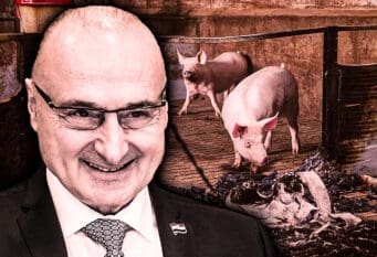 Grlić-Radman - Evo meni moje iljadarke