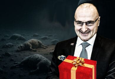 Božićni poklon Gordana Grlić Radmana