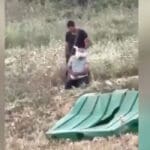 Iživljavanje nad Palestincima