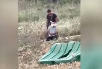 Iživljavanje nad Palestincima