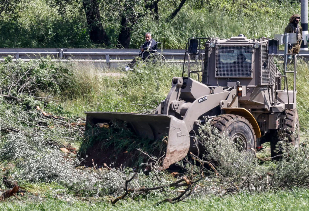 Uništavanje maslina u Jeninu