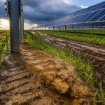 Agrivoltaika ostavlja nevidljivi trag u tlu koji smanjuje prinose