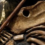 Neandertalac proboden kopljem 75.000 godina star dokaz milosrđa i nasilja